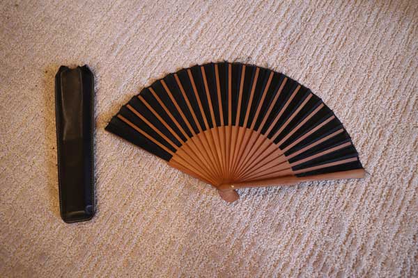 lost and found fan